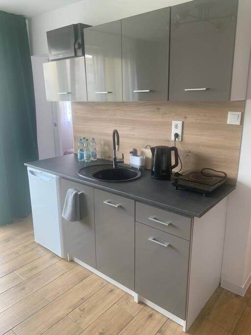 Uroczy apartament w centrum Sandomierza Zewnętrze zdjęcie